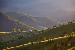 rural area