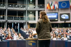 person in front of EU body