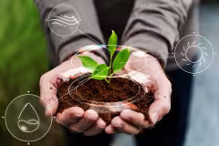 Biostimulant