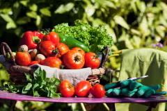 organic farming