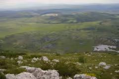 Dragoman marsh