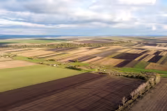 agriculture