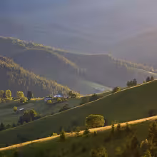 rural area