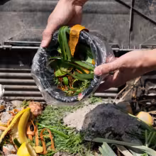 food waste