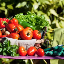 organic farming