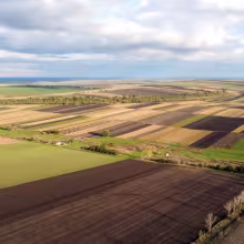 agriculture